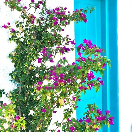 Peaceful House By The Sea - Private Garden Feriehus Analipsis (Messinia)