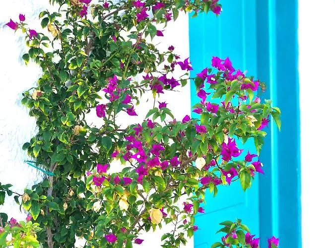 Peaceful House By The Sea - Private Garden Ferienhaus Analipsis (Messinia)